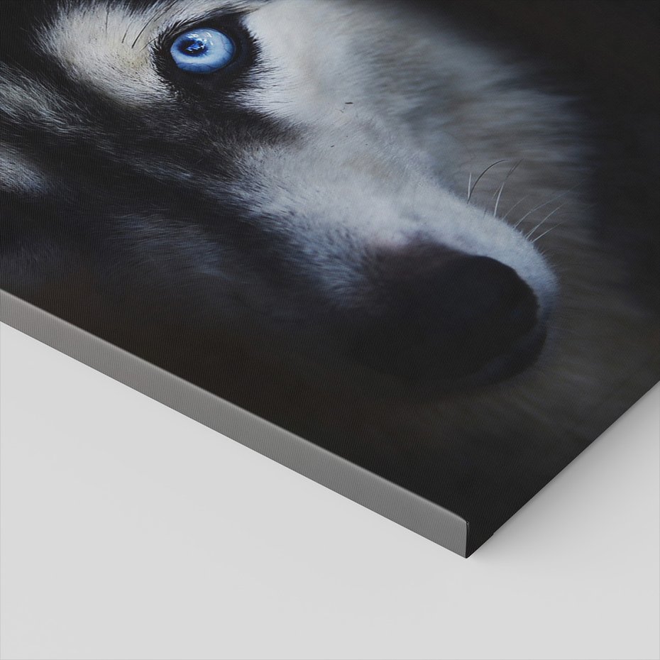 Obraz na płótnie - pies, husky, portret