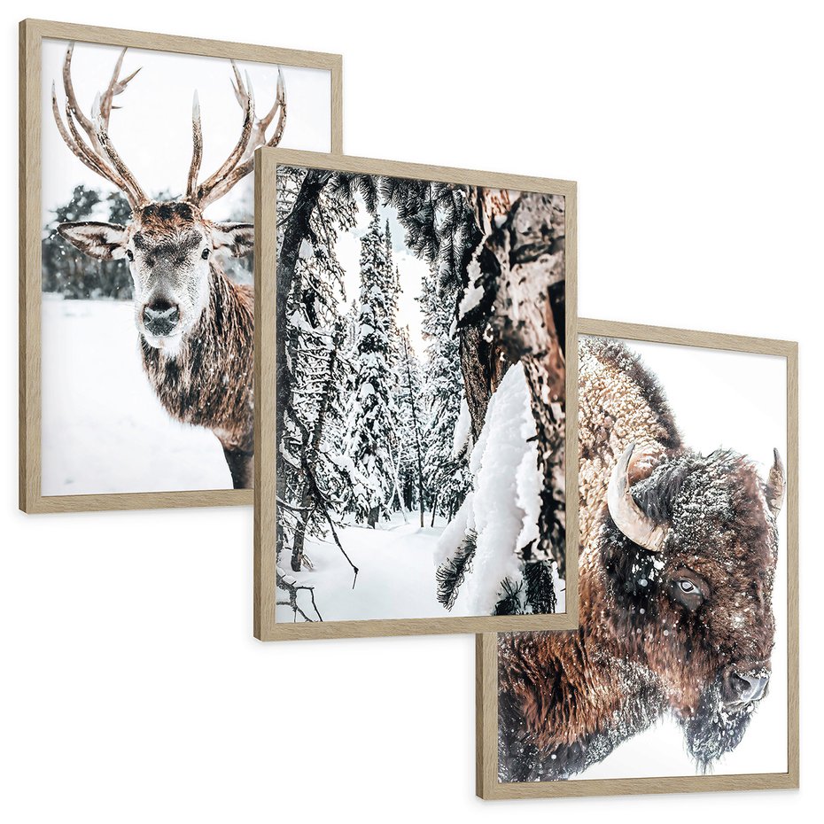 Zestaw obrazy w ramie, plakaty - zwierzęta, zima, śnieg - rama drewno