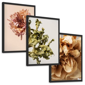 Zestaw obrazy w ramie, plakaty - kwiaty, suche, więdnięcie - rama czarna