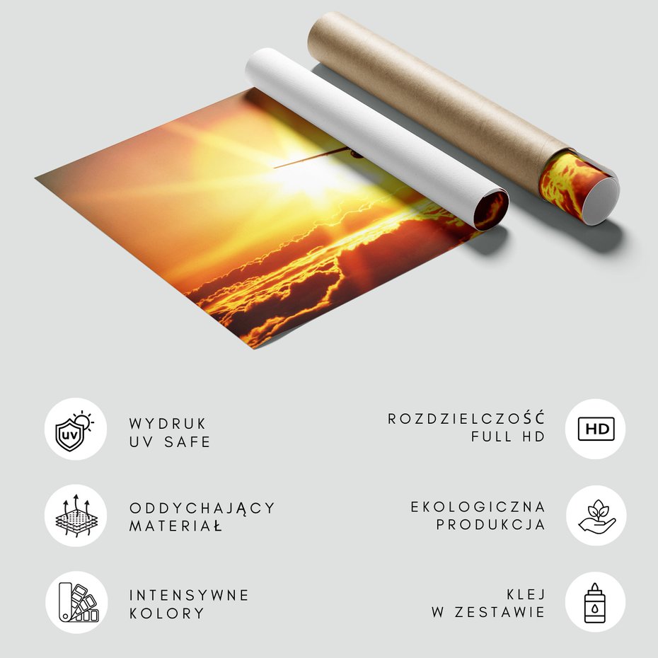 Fototapeta - samolot, niebo, zachód słońca