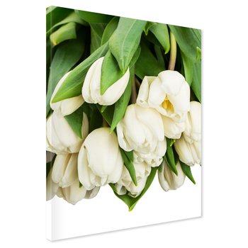 Obraz na płótnie - tulipany, kwiaty, białe