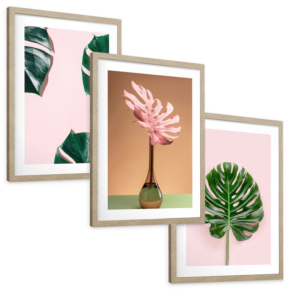 Zestaw obrazy w ramie, plakaty - monstera, liście, roślina - rama drewno
