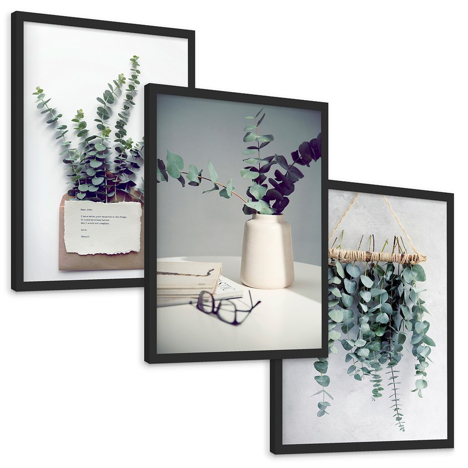 Zestaw obrazy w ramie, plakaty - eukaliptus, liście, gałązki - rama czarna