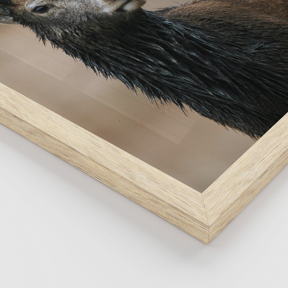 Zestaw obrazy w ramie, plakaty - las, drewno, natura - rama drewno