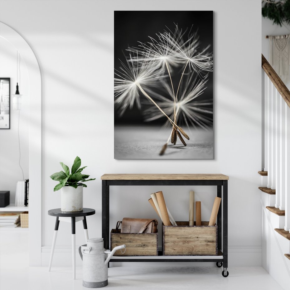 Obraz na płótnie - dmuchawiec, nasiona, natura