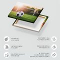 Obraz na płótnie - piłka, trawa, sport
