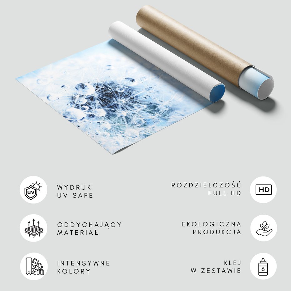 Fototapeta - dmuchawiec, krople, abstrakcja