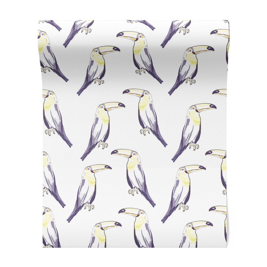 Tapeta - tukan, ptak, ilustracja