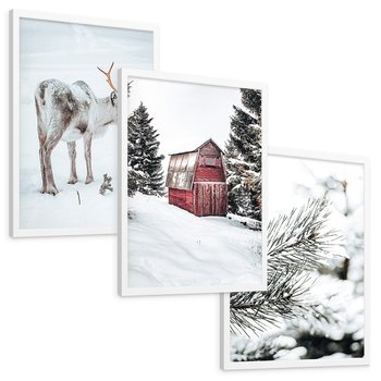 Zestaw obrazy w ramie, plakaty - renifer, śnieg, zima - rama biała