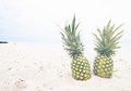 Fototapeta - ananas, plaża, owoce