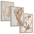Zestaw obrazy w ramie, plakaty - roślina, kwiat, suszone - rama drewno