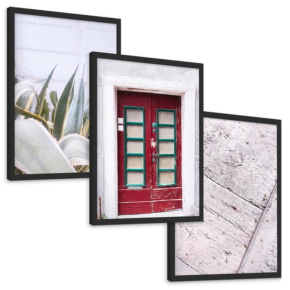 Zestaw obrazy w ramie, plakaty - rośliny, drzwi, drewno - rama czarna