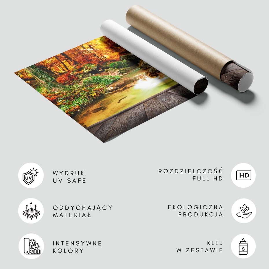 Fototapeta - jesień, las, wodospad