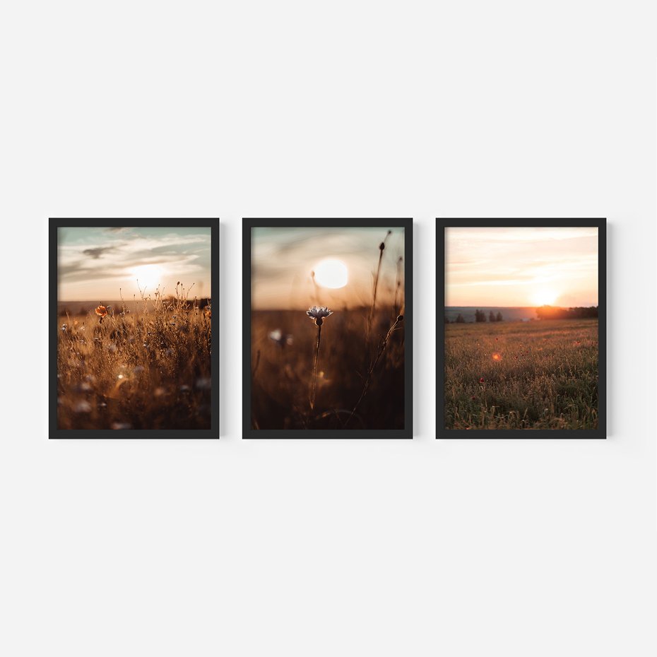 Zestaw obrazy w ramie, plakaty - pole, kwiaty, słońce - rama czarna
