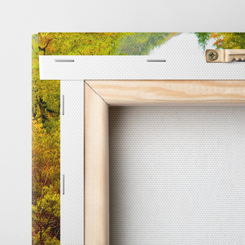 Obraz na płótnie - rzeka, las, kamienie