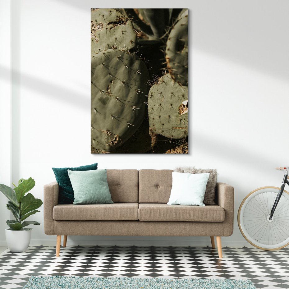 Obraz na płótnie - kaktus, kolce, pustynia