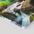 Obraz na płótnie - las, rzeka, kamienie