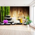 Fototapeta - bambus, kamienie, relaks