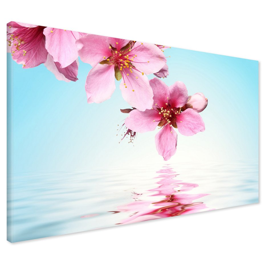 Obraz na płótnie - kwiaty, różowy, woda