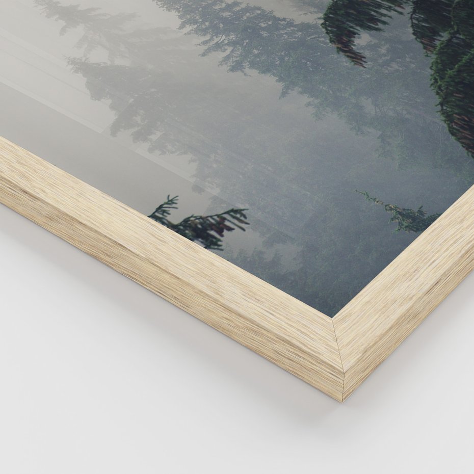 Zestaw obrazy w ramie, plakaty - las, drzewa, jeleń - rama drewno