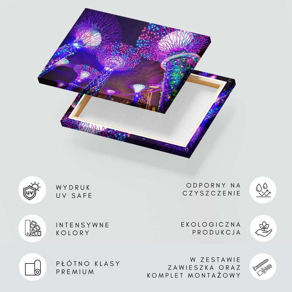 Obraz na płótnie - Singapur, ogrody, noc