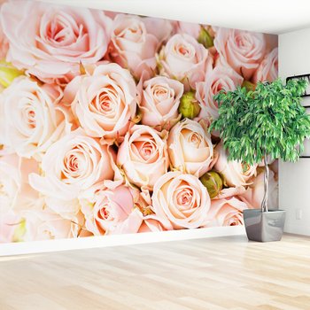 Fototapeta - róże, kwiaty, pastelowe