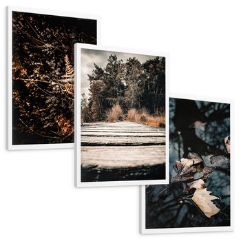Zestaw obrazy w ramie, plakaty - natura, liście, drzewa - rama biała