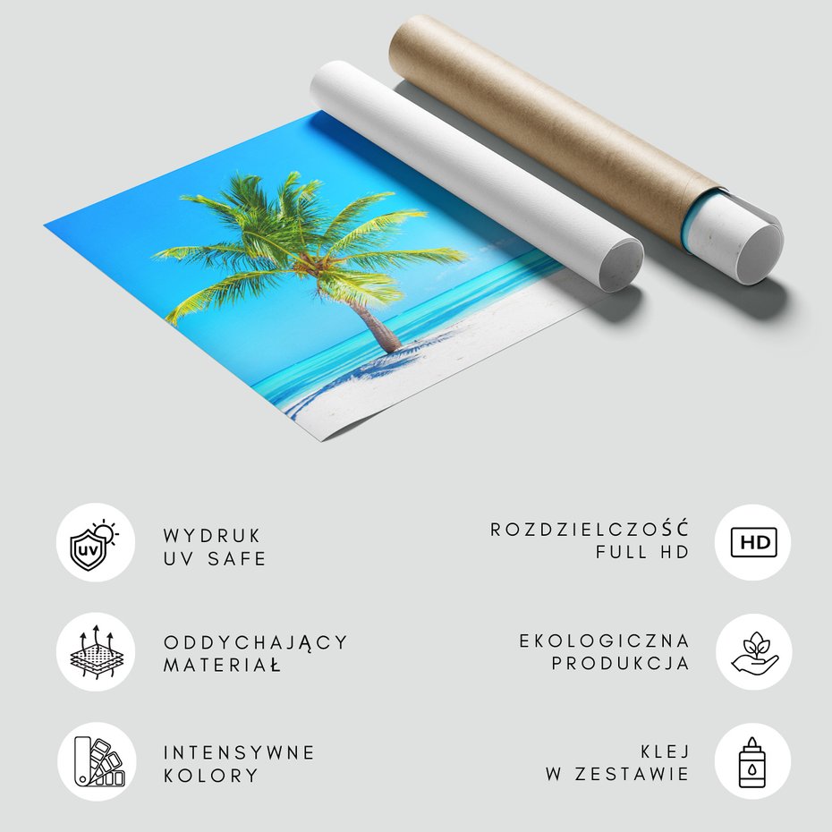 Fototapeta - palma, plaża, morze