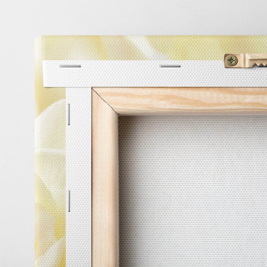 Obraz na płótnie - kwiaty, frezje, białe