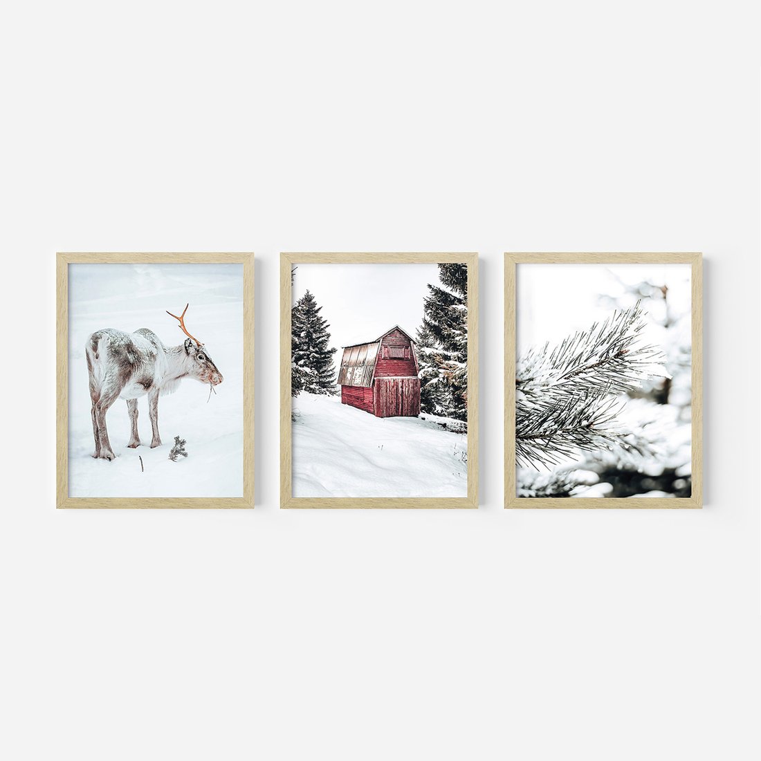 Zestaw obrazy w ramie, plakaty - renifer, śnieg, zima - rama drewno