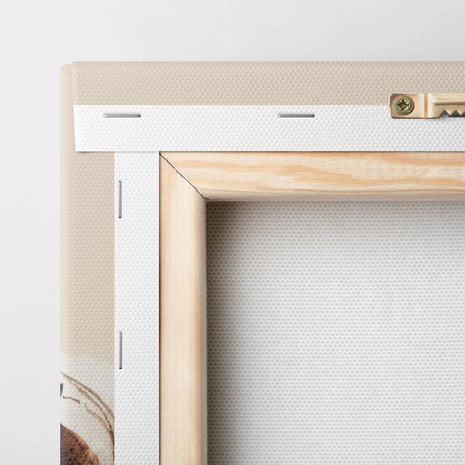 Obraz na płótnie - bawełna, roślina, natura