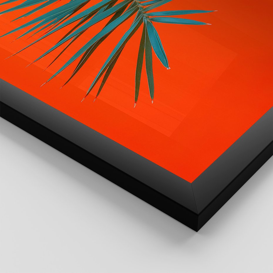 Zestaw obrazy w ramie, plakaty - liście, rośliny, kolory - rama czarna