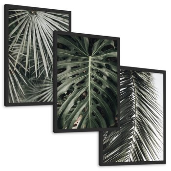 Zestaw obrazy w ramie, plakaty - liście, palmy, tropikalne - rama czarna