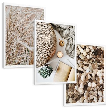 Zestaw obrazy w ramie, plakaty - roślina, beżowy, dekoracja - rama biała