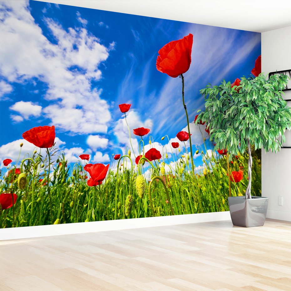 Fototapeta - maki, kwiaty, lato