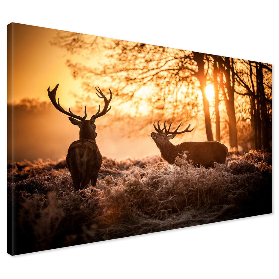 Obraz na płótnie - jelenie, natura, zachód słońca