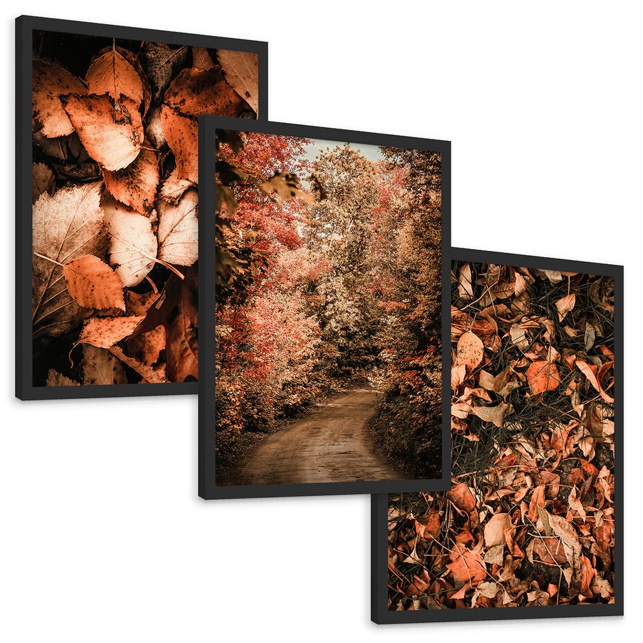 Zestaw obrazy w ramie, plakaty - liście,jesień,drzewa - rama czarna