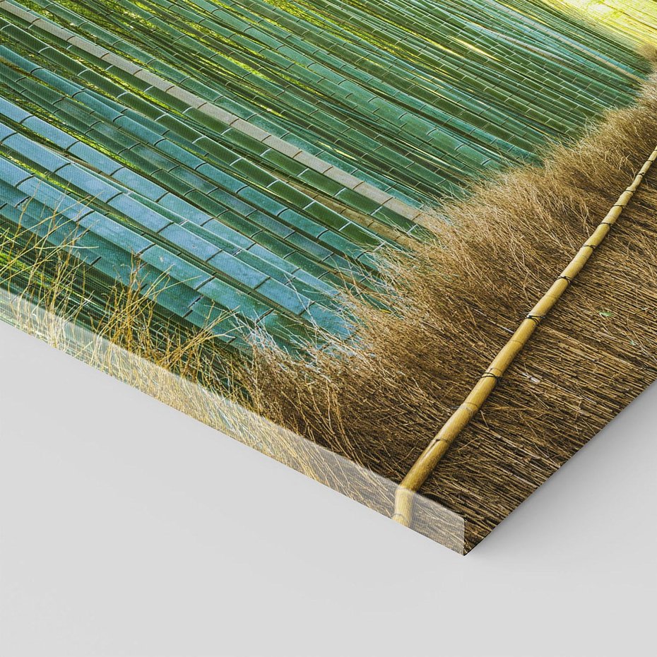 Obraz na płótnie - bambusowy, las, ścieżka