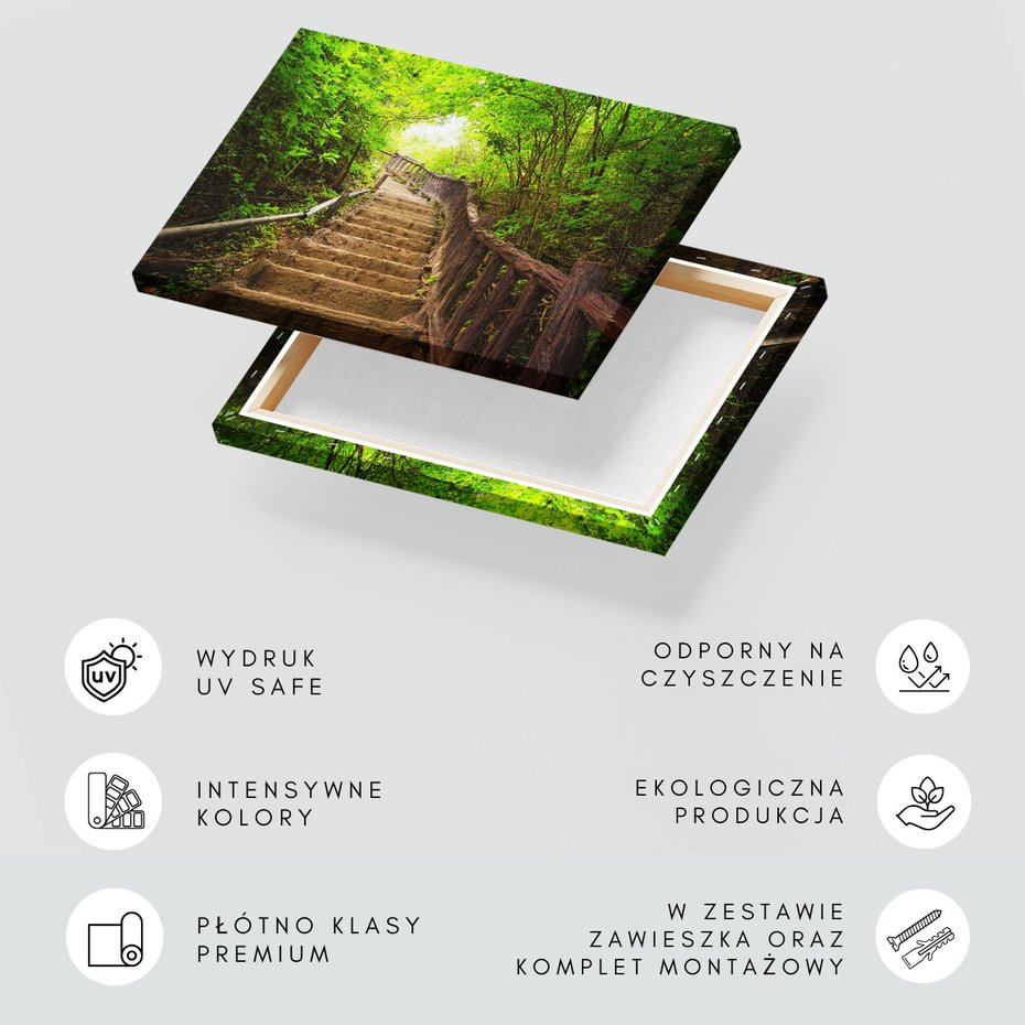 Obraz na płótnie - schody, las, natura