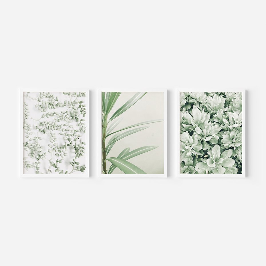Zestaw obrazy w ramie, plakaty - liście, roślina, gałązka - rama biała