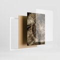 Zestaw obrazy w ramie, plakaty - drewno, kora, natura - rama biała