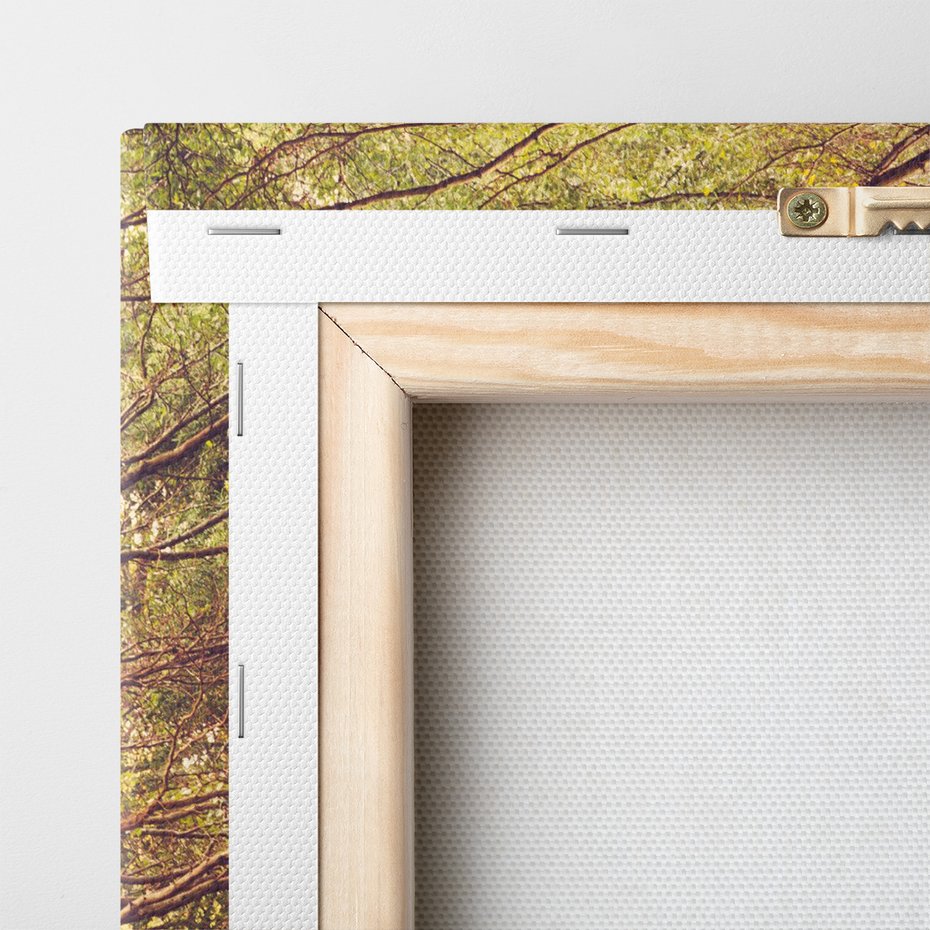 Obraz na płótnie - drzewa, ścieżka, aleja