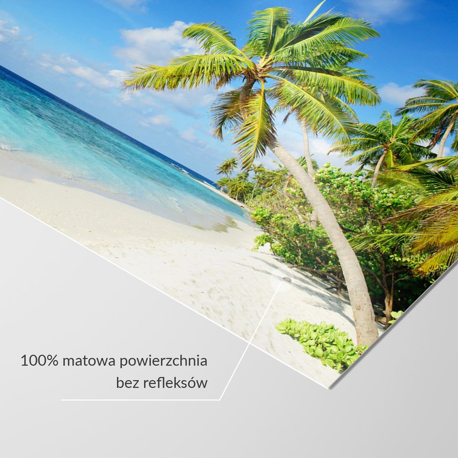 Fototapeta - palmy, plaża, morze