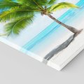Obraz na płótnie - palma, plaża, morze