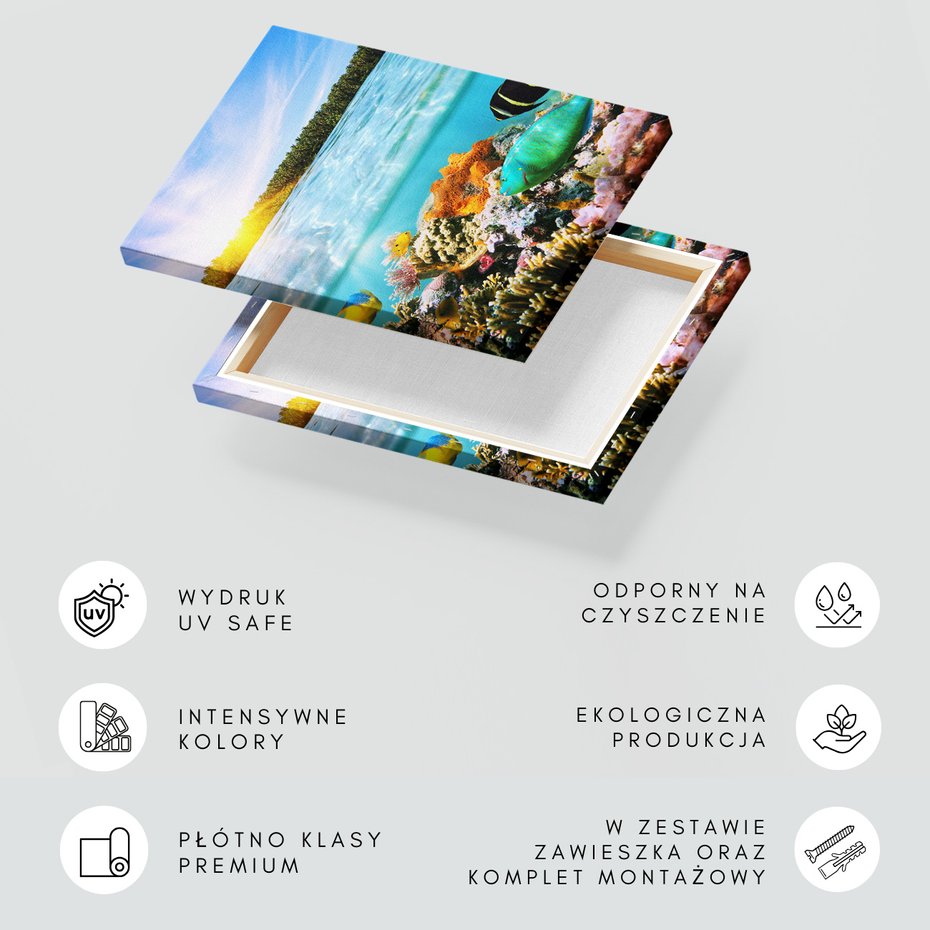 Obraz na płótnie - ryby, rafa, morze