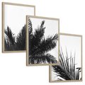 Zestaw obrazy w ramie, plakaty - palmy, liście, tropikalne - rama drewno