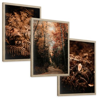 Zestaw obrazy w ramie, plakaty - jesień, liście, brązowy - rama drewno