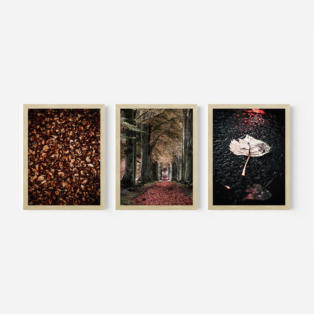 Zestaw obrazy w ramie, plakaty - liście, drzewa, jesień - rama drewno