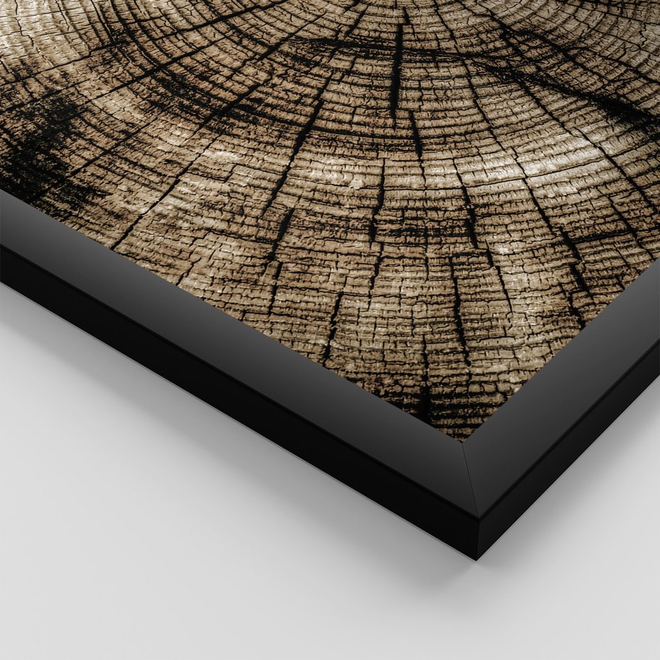 Zestaw obrazy w ramie, plakaty - drewno, kora, natura - rama czarna