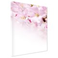 Obraz na płótnie - kwiaty, różowe, delikatne